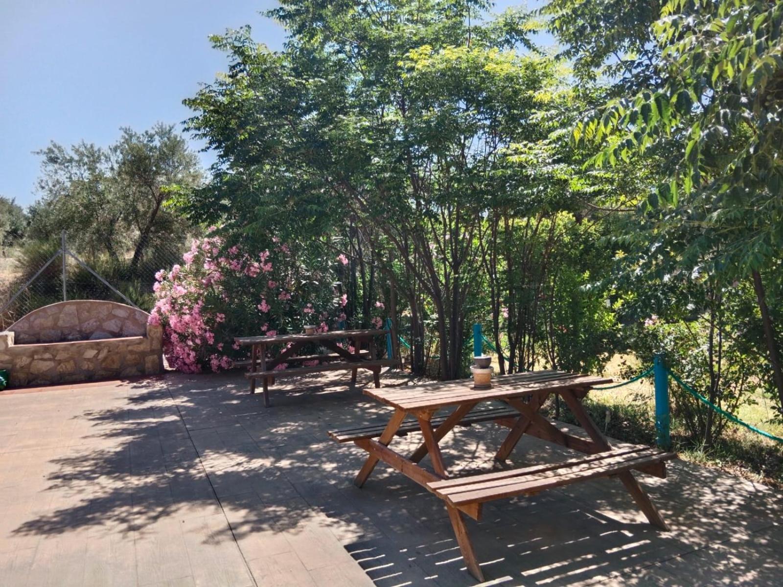 Finca Los Villegas Castril Luaran gambar